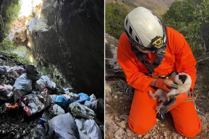 Κτηνωδία: Πέταξαν κουτάβια σε γκρεμό 20 μέτρων!