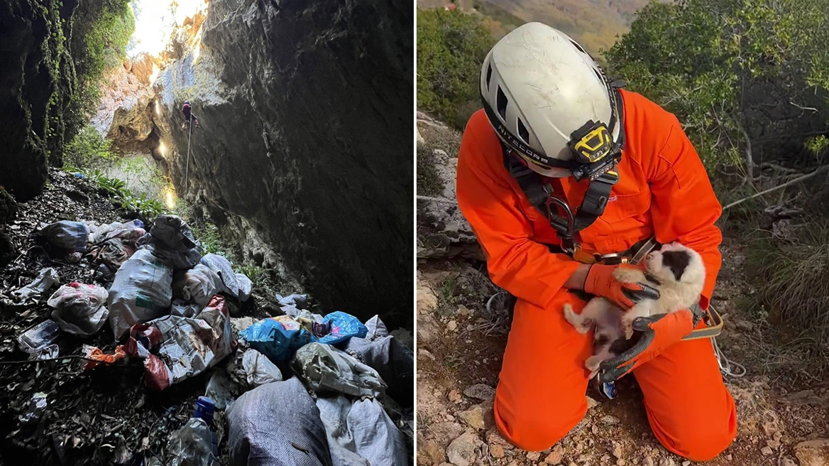 Κτηνωδία: Πέταξαν κουτάβια σε γκρεμό 20 μέτρων!