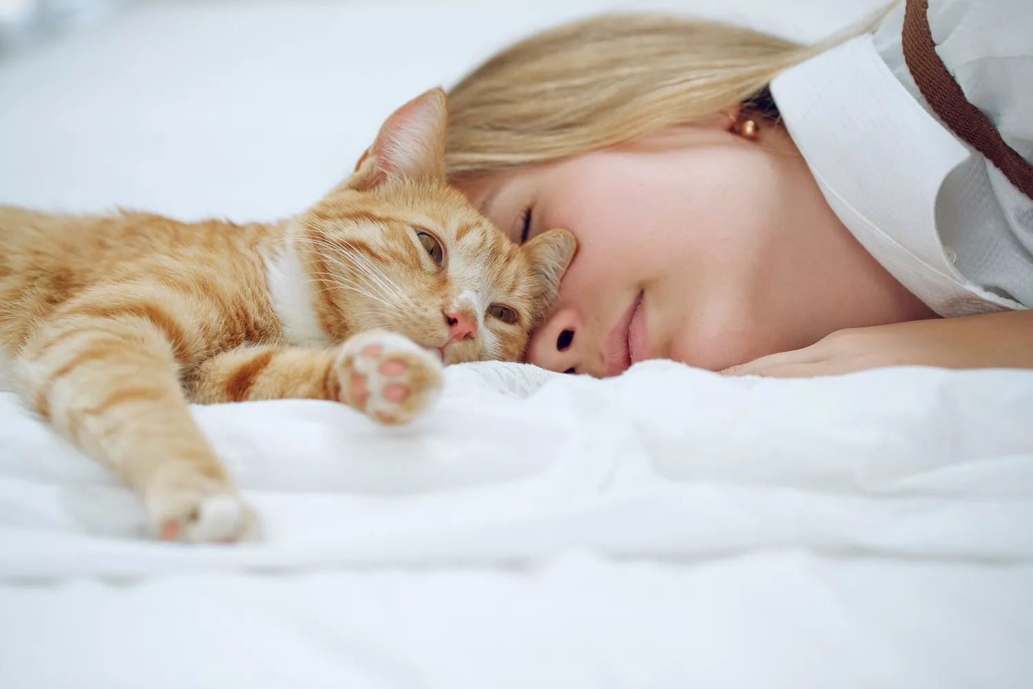 Γιατί αρέσει στις γάτες να κοιμούνται κοντά στο πρόσωπό μας;