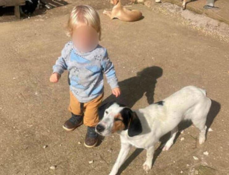 Τραγωδία στη Ζάκυνθο: Αύριο η κηδεία του μικρού Λίο που σκοτώθηκε από το πίτμπουλ