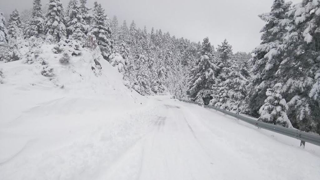 Έντονη χιονόπτωση στην Ορεινή Ναυπακτία - "Μάχη" για να μείνει ανοικτό το οδικό δίκτυο