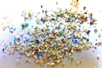 Μικροπλαστικά: Αμφιβολίες για την ανακάλυψή τους στο ανθρώπινο σώμα