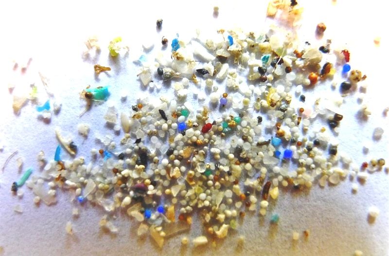 Μικροπλαστικά: Αμφιβολίες για την ανακάλυψή τους στο ανθρώπινο σώμα