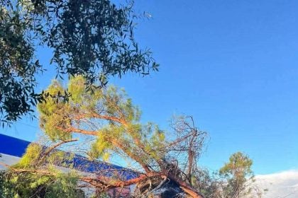 Πύργος: Δένδρο έπεσε πάνω σε εν κινήσει τρένο - Στο νοσοκομείο ο μηχανοδηγός