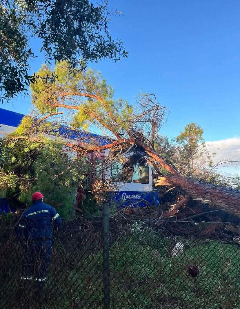 Πύργος: Δένδρο έπεσε πάνω σε εν κινήσει τρένο - Στο νοσοκομείο ο μηχανοδηγός (ΦΩΤΟ)