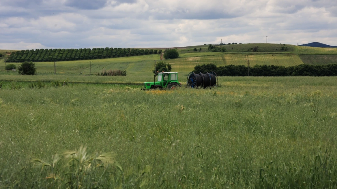ΑΑΔΕ: Αγροτικές ενισχύσεις 27,8 εκατ. ευρώ σε 24.000 δικαιούχους - Εκτός πληρωμών οι ελεγχόμενοι στην υπόθεση ΟΠΕΚΕΠΕ