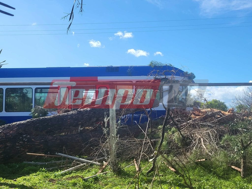 Πύργος: Δένδρο έπεσε πάνω σε εν κινήσει τρένο - Στο νοσοκομείο ο μηχανοδηγός- ΒΙΝΤΕΟ & ΦΩΤΟ