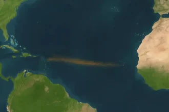 Η περίεργη καφέ «λωρίδα» 9.000 χιλιομέτρων στον Ατλαντικό: Μια τεράστια μάζα φυκιών που ωφελεί τα θαλάσσια είδη αλλά επιβαρύνει το περιβάλλον