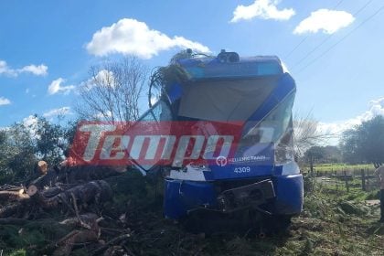 Πύργος: Δένδρο έπεσε πάνω σε εν κινήσει τρένο - Στο νοσοκομείο ο μηχανοδηγός- ΒΙΝΤΕΟ & ΦΩΤΟ