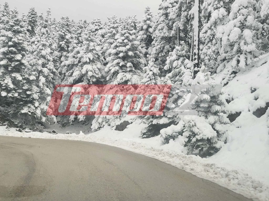 ΚΑΙΡΟΣ: Επιδείνωση και έντονο κύμα ψύχους από το απόγευμα - Χιονίζει στα ορεινά της Αχαΐας - "Άσπρισαν" τα Καλάβρυτα - ΦΩΤΟ