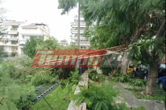 Πάτρα: Μας πήρε και μας σήκωσε και σήμερα ο αέρας - Δεν σταματούν τα περιστατικά με πτώσεις δένδρων και αιωρούμενα αντικείμενα