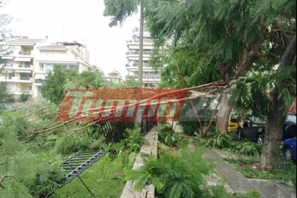 Πάτρα: Μας πήρε και μας σήκωσε και σήμερα ο αέρας - Δένδρο ξεριζώθηκε και έπεσε σε ΙΧ - Αστυνομικοί τρέχουν για βοήθεια σε περιστατικά με αιωρούμενα αντικείμενα