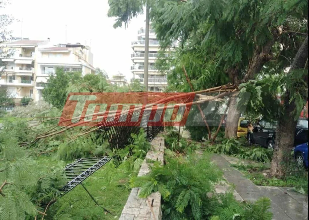 Πάτρα: Μας πήρε και μας σήκωσε και σήμερα ο αέρας - Δεν σταματούν τα περιστατικά με πτώσεις δένδρων και αιωρούμενα αντικείμενα ΣΥΝΕΧΗΣ ΕΝΗΜΕΡΩΣΗ