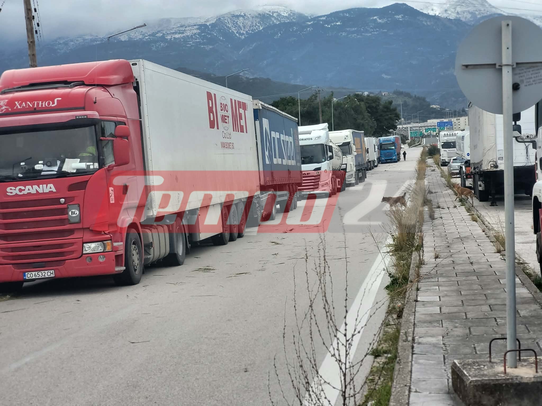 Κακοκαιρία στην Πάτρα: Oυρές από νταλίκες μετά το απαγορευτικό εξαιτίας των θυελλωδών ανέμων σε Πορθμείο Ρίου και Γέφυρα (ΦΩΤΟ & ΒΙΝΤΕΟ)