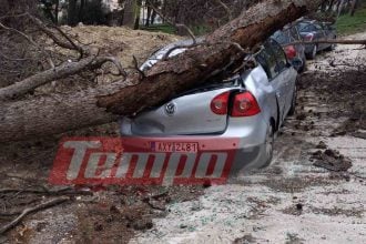 Πάτρα: Δέντρο καταπλάκωσε αυτοκίνητο στο Καραμανδάνειο - ΦΩΤΟ