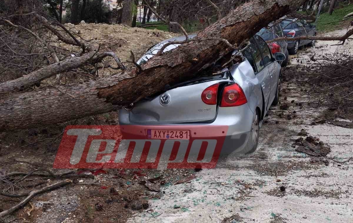 Πάτρα: Δέντρο καταπλάκωσε αυτοκίνητο στο Καραμανδάνειο - ΦΩΤΟ