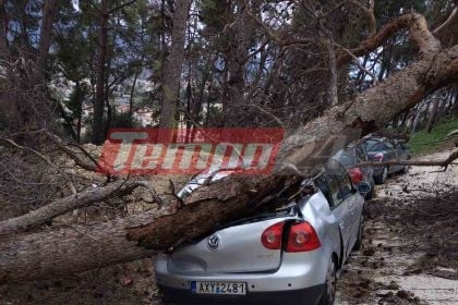Πάτρα: Δέντρο καταπλάκωσε αυτοκίνητο στο Καραμανδάνειο - ΦΩΤΟ