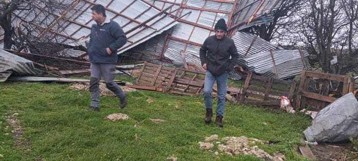 Ηλεία: Kαταστροφικό πέρασμα ανεμοστρόβιλου στην Πηνεία – “Σηκώθηκε” ολόκληρος στάβλος (ΦΩΤΟ)