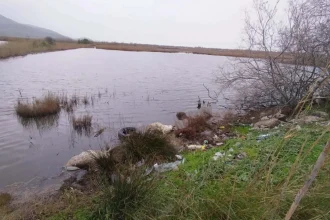 Περιφέρεια: Μήνυση για τα πεταμένα πρόβατα στη λιμνοθάλασσα Αιτωλικού - «Πρακτικές πραγματικά απαράδεκτες»