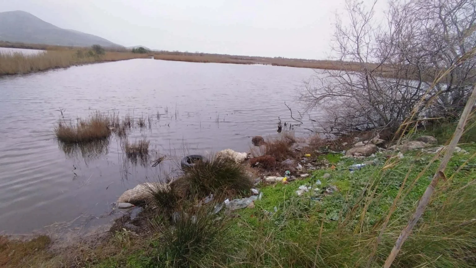 Περιφέρεια: Μήνυση για τα πεταμένα πρόβατα στη λιμνοθάλασσα Αιτωλικού - «Πρακτικές πραγματικά απαράδεκτες»