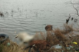 Πέταξαν νεκρά πρόβατα στην λιμνοθάλασσα του Αιτωλικού! ΦΩΤΟ