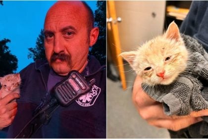 Γατάκι σώθηκε από αγκαθωτό θάμνο και βρήκε το παντοτινό του σπίτι