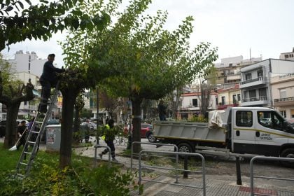Πάτρα: Kλάδεμα δένδρων στην Έλληνος Στρατιώτου