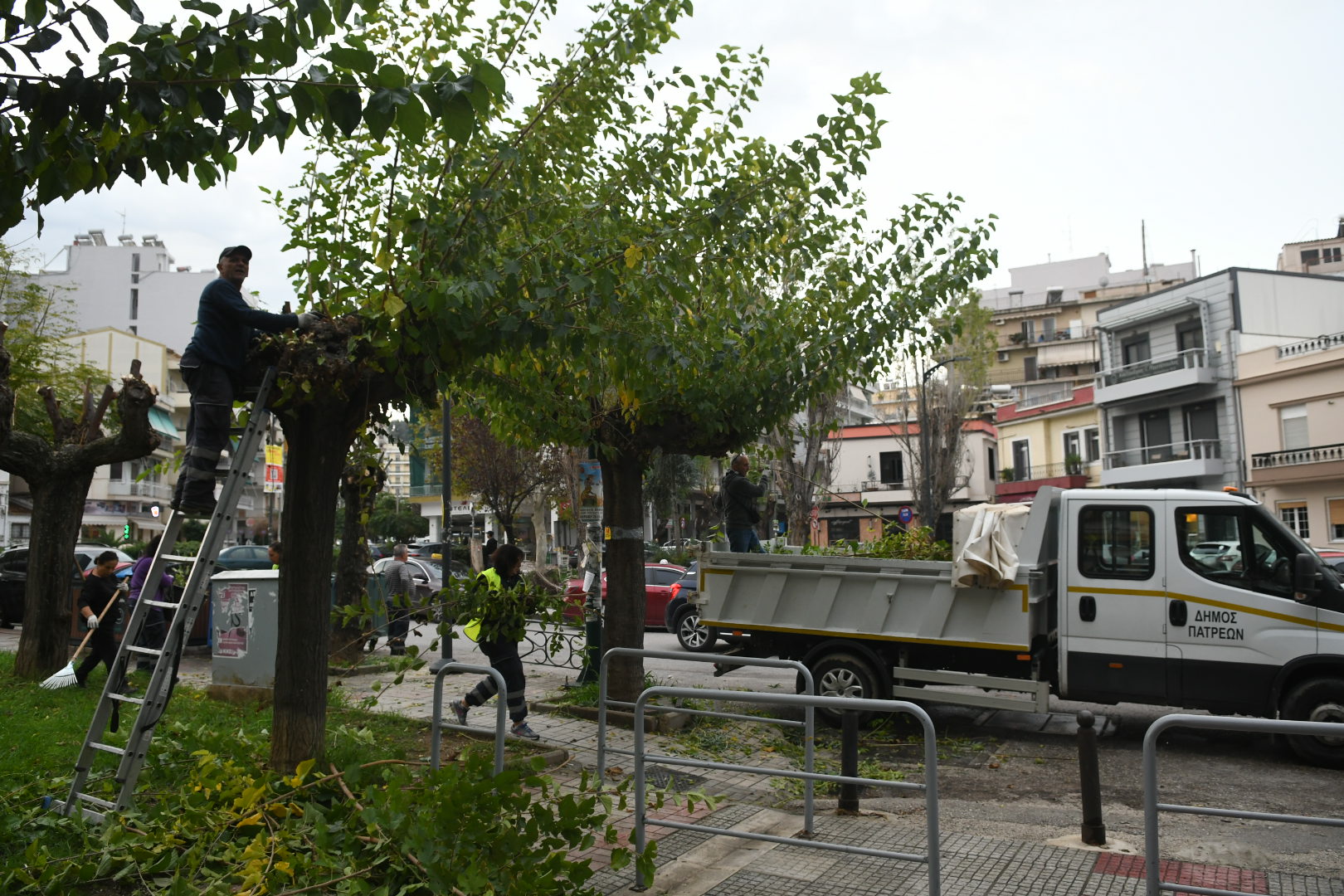 Πάτρα: Kλάδεμα δένδρων στην Έλληνος Στρατιώτου