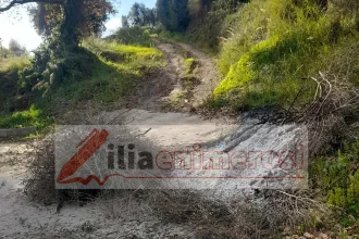 Σκαφιδιά: Άφησε την τελευταία του πνοή καίγοντας λιόκλαρα