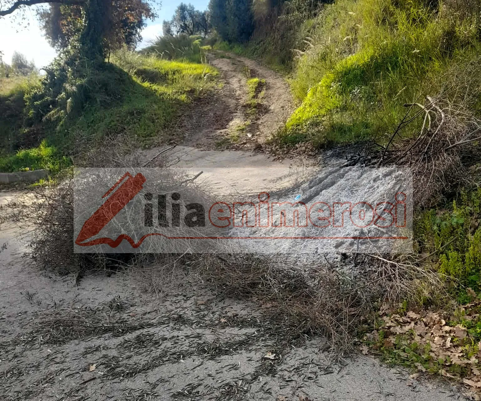 Σκαφιδιά: Άφησε την τελευταία του πνοή καίγοντας λιόκλαρα