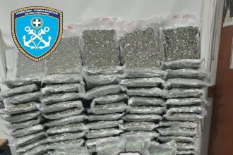 Πάτρα: Γιγαντιαία επιχείρηση για ναρκωτικά στο Λιμάνι - Εντοπίστηκαν από σκύλο σε φορτηγό, ποσότητες δεκάδων κιλών κοκαΐνης και χασίς - Δύο συλλήψεις (ΦΩΤΟ)