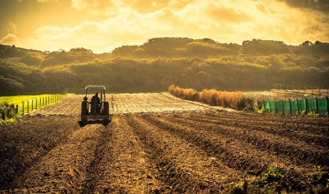 Υπό δέσμευση οι λογαριασμοί 12 αγροτών για παράνομες επιδοτήσεις