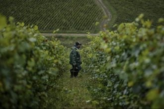 Γαλλία: Μειώνεται η ζήτηση για κονιάκ - Οι παραγωγοί θα πληρώσουν για να ξεριζώσουν τα αμπέλια τους