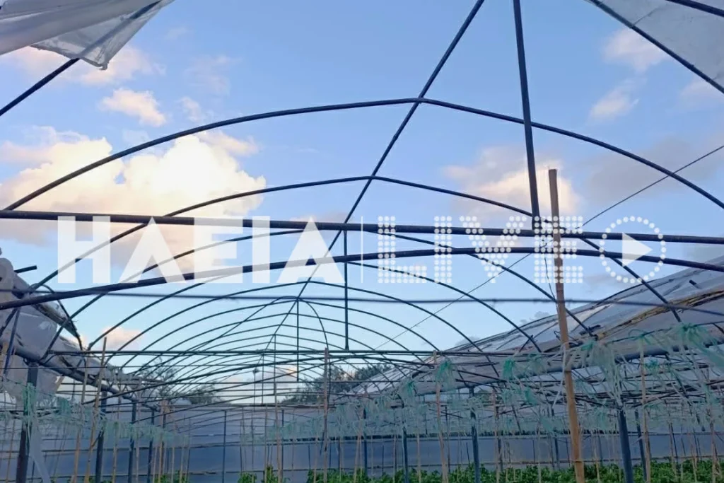 ΑΝΕΜΟΣΤΡΟΒΙΛΟΣ ΣΤΗΝ ΗΛΕΙΑ - Αναποδογύρισε αυτοκίνητο, πανικός για γυναίκα οδηγό! Ζημιές σε θερμοκήπια... Ηλεία: Ανεμοστρόβιλος σήκωσε και τούμπαρε 2 αυτοκίνητα – Ζημιές και σε αγροτικές εγκαταστάσεις (ΦΩΤΟ)