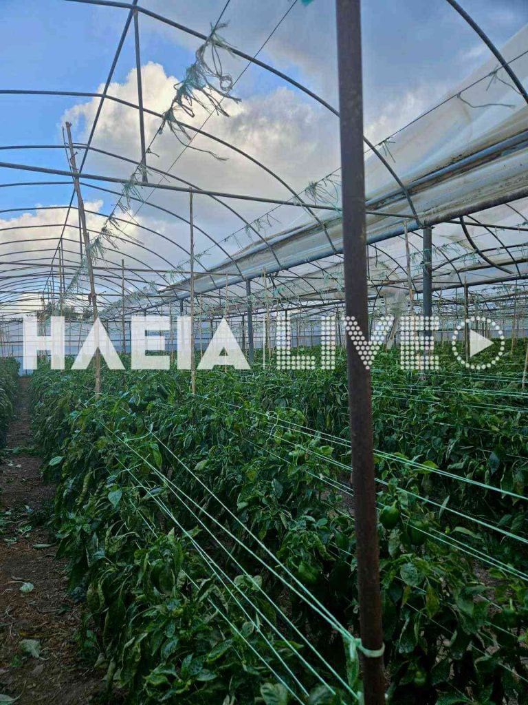 ΑΝΕΜΟΣΤΡΟΒΙΛΟΣ ΣΤΗΝ ΗΛΕΙΑ - Αναποδογύρισε αυτοκίνητο, πανικός για γυναίκα οδηγό! Ζημιές σε θερμοκήπια... Ηλεία: Ανεμοστρόβιλος σήκωσε και τούμπαρε 2 αυτοκίνητα – Ζημιές και σε αγροτικές εγκαταστάσεις (ΦΩΤΟ)