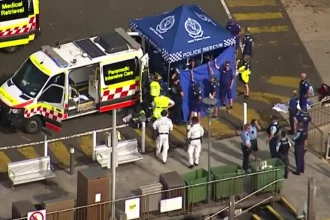 Αυστραλία: Καρχαρίας επιτέθηκε σε 13χρονο στο Σίδνεϊ – Νοσηλεύεται σε σοβαρή κατάσταση