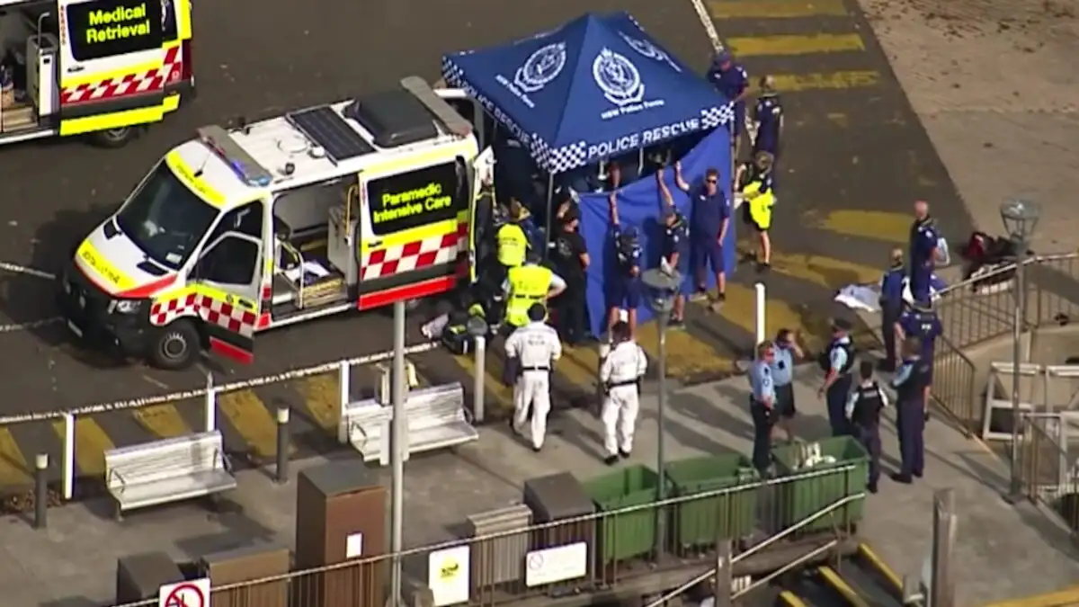 Αυστραλία: Καρχαρίας επιτέθηκε σε 13χρονο στο Σίδνεϊ – Νοσηλεύεται σε σοβαρή κατάσταση