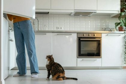 Φυσικές λιχουδιές για γάτες: Υγιεινές και νόστιμες επιλογές που υπάρχουν ήδη στην κουζίνα σας