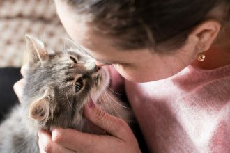 Αναρωτιέστε αν είστε ο αγαπημένος άνθρωπος της γάτας σας; Να πώς θα το καταλάβετε