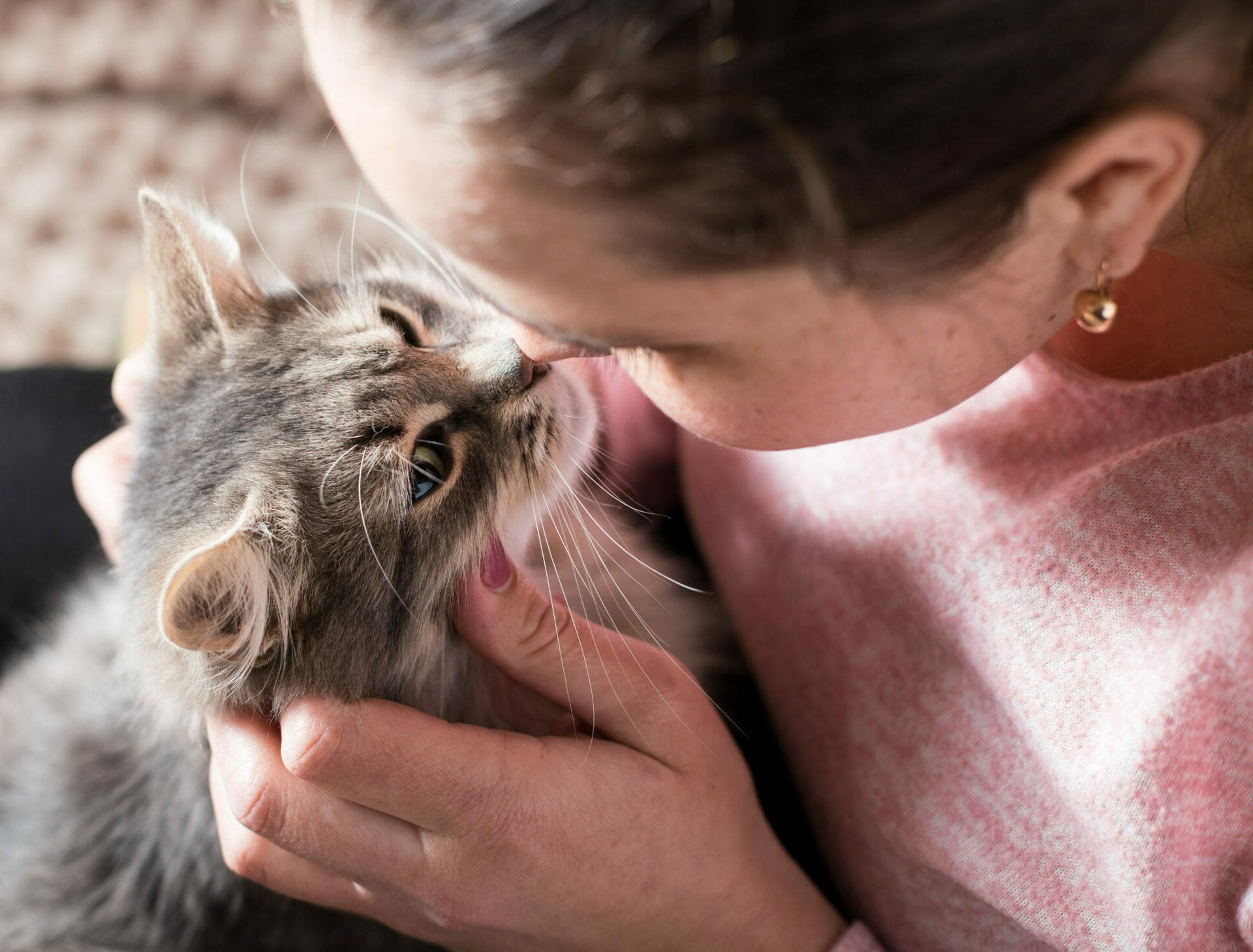 Αναρωτιέστε αν είστε ο αγαπημένος άνθρωπος της γάτας σας; Να πώς θα το καταλάβετε