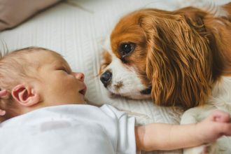 Πώς βλέπουν οι σκύλοι τα μωρά – Γιατί τα αντιμετωπίζουν διαφορετικά
