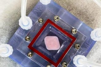 Πώς αλλάζει την Ιατρική η 3D βιοεκτύπωση