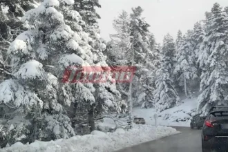 ΚΑΙΡΟΣ: Επιδείνωση και έντονο κύμα ψύχους από το απόγευμα - Χιονίζει στα ορεινά της Αχαΐας - "Άσπρισαν" τα Καλάβρυτα - ΦΩΤΟ