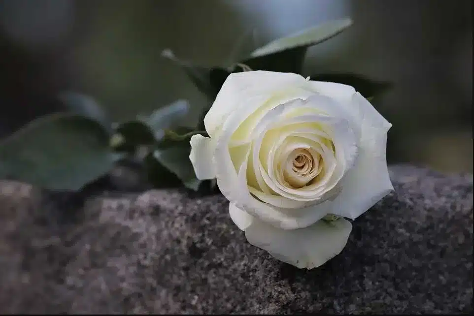 Πάτρα: Κηδεύεται το Σάββατο ο συνταξιούχος εκπαιδευτικός Κων/νος Μιχαλόπουλος