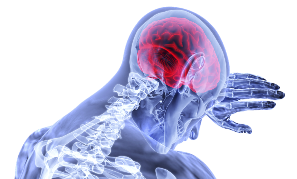 Η εμμηνόπαυση συνδέεται με αλλαγές στον εγκέφαλο που μοιάζουν με τη νόσο Αλτσχάιμερ