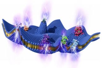 Μια άγνωστη πηγή ενέργειας φαίνεται να κρύβεται γύρω από τα κύτταρά μας