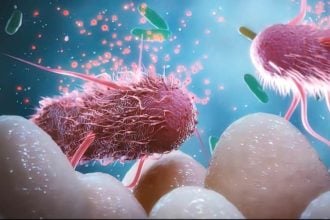 Κοινές χημικές ουσίες βλάπτουν τα ωφέλιμα βακτήρια του εντέρου, διαπιστώνει μελέτη