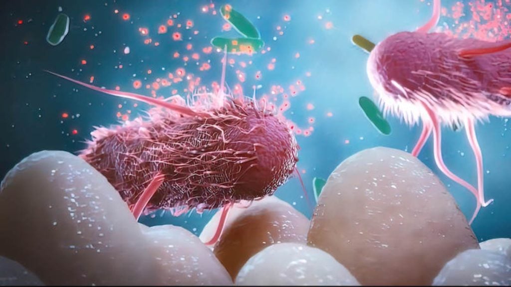 Κοινές χημικές ουσίες βλάπτουν τα ωφέλιμα βακτήρια του εντέρου, διαπιστώνει μελέτη