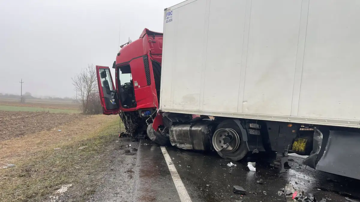 Δυστύχημα με οπαδούς του ΠΑΟΚ: Σοκαρισμένος ο οδηγός της νταλίκας που συγκρούστηκε με το βαν – «34 χρόνια, δεν έχω δεί κάτι τέτοιο»