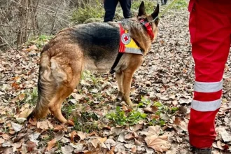 Ιωάννινα: Βρέθηκε νεκρός 75χρονος αγνοούμενος
